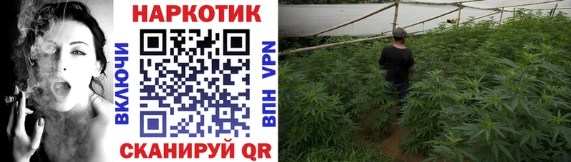 Названия наркотиков Кандалакша ГАШ  КОКАИН  Alpha PVP  МАРИХУАНА  OMG tor  Мефедрон 